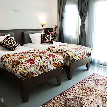 Ayasoluk & Restaurant 酒店