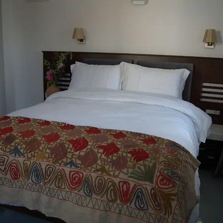 Ayasoluk & Restaurant מלון