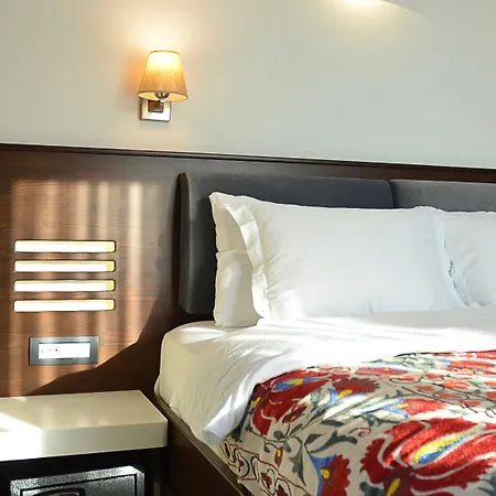 Ayasoluk & Restaurant 酒店 2*