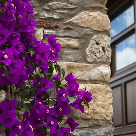 Ayasoluk & Restaurant 酒店