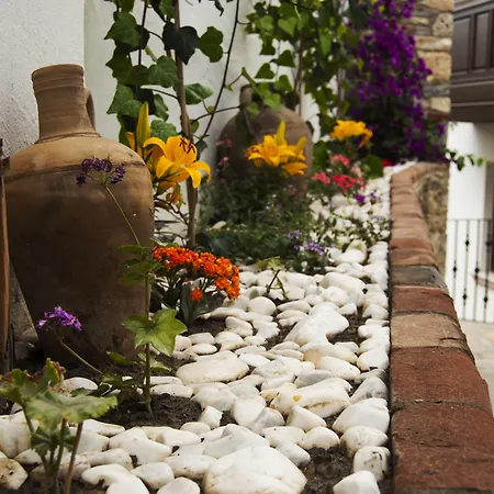 Ayasoluk & Restaurant 2* 塞尔丘克