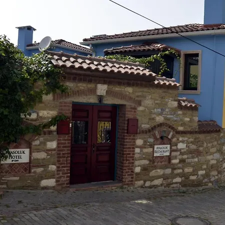 מלון Ayasoluk & Restaurant 2*