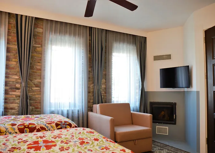 Ayasoluk & Restaurant 2*