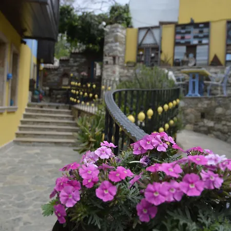 Ayasoluk & Restaurant 2* Selçuk