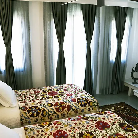 Ayasoluk & Restaurant Hotel Selçuk