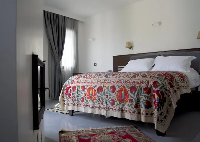Ayasoluk & Restaurant Hotell 2*